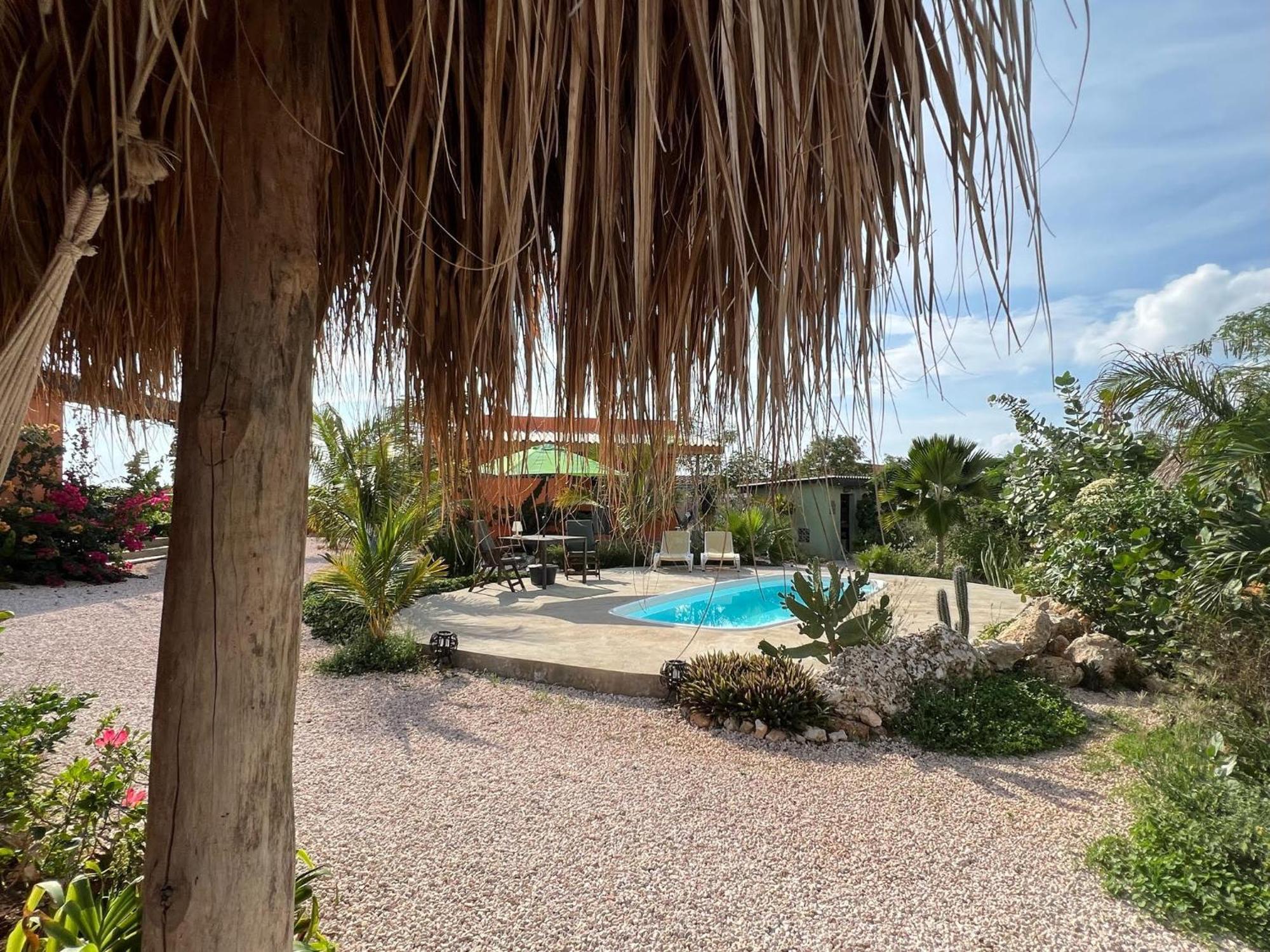 The Octopus Tropical Oasis Dorp Sint Michiel Exterior foto