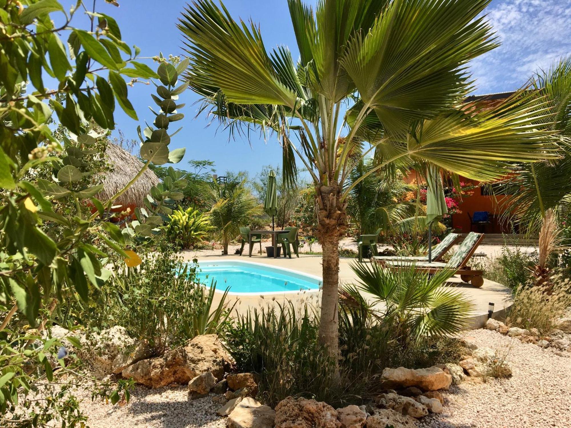 The Octopus Tropical Oasis Dorp Sint Michiel Exterior foto
