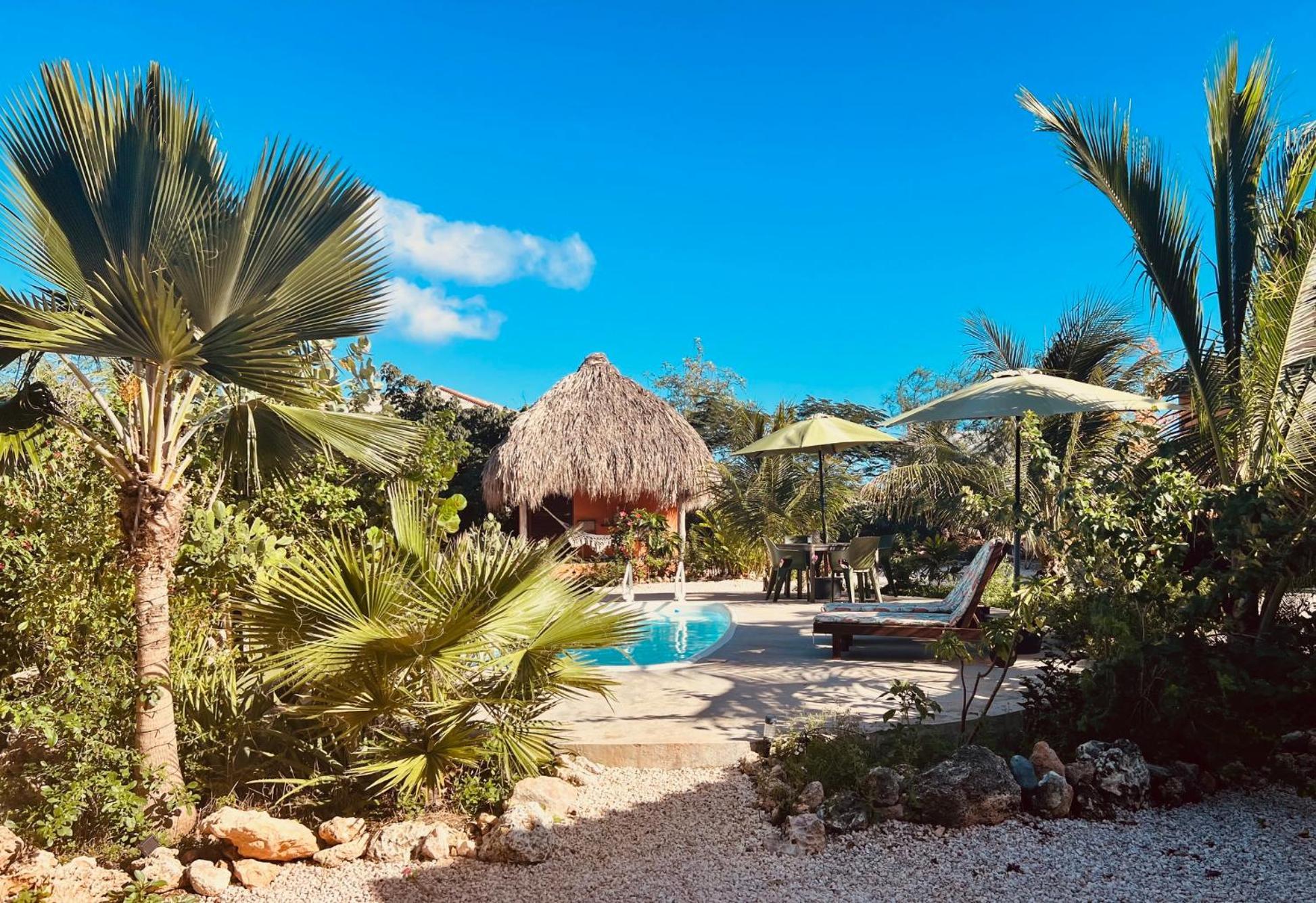 The Octopus Tropical Oasis Dorp Sint Michiel Exterior foto