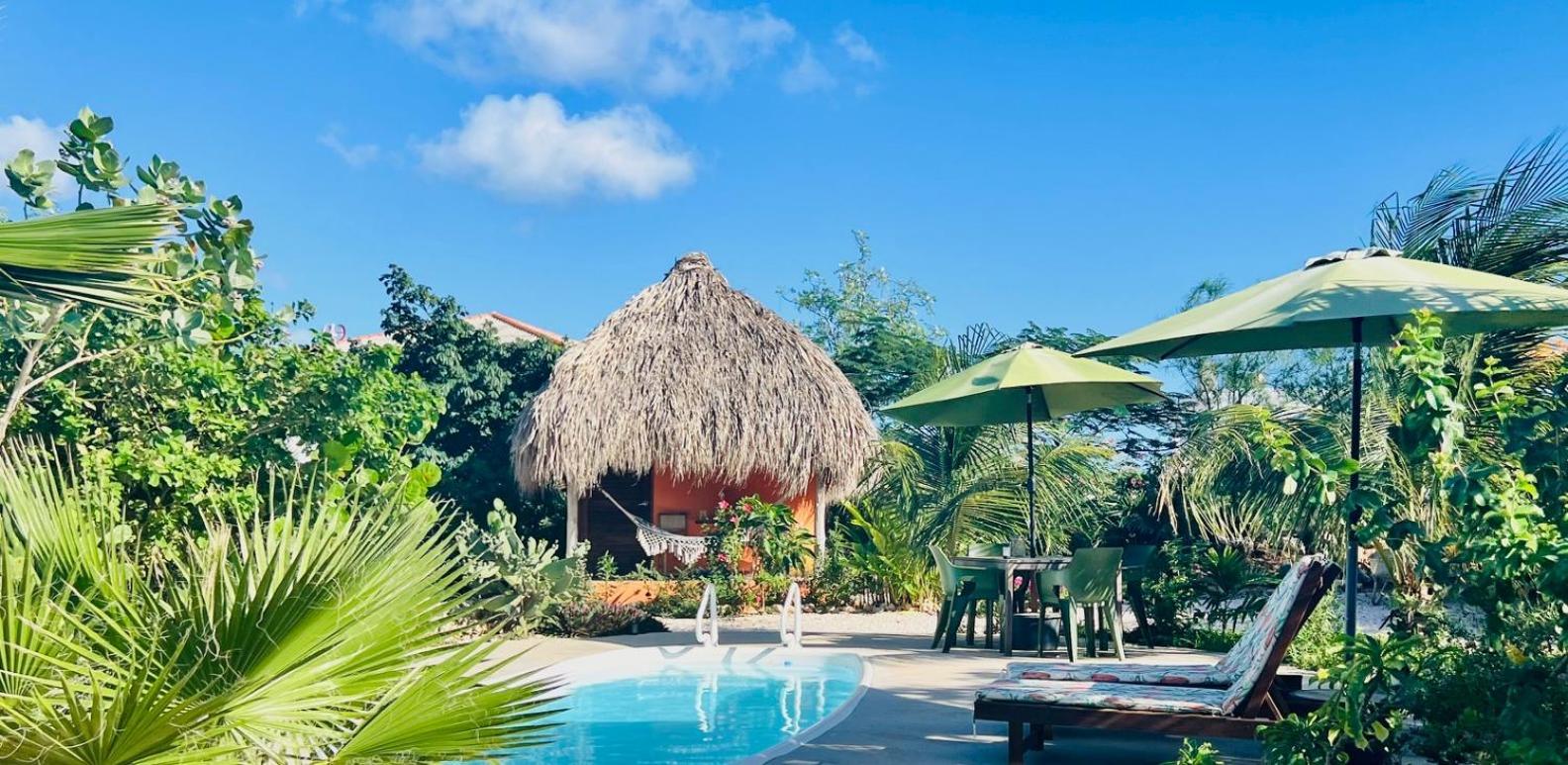 The Octopus Tropical Oasis Dorp Sint Michiel Exterior foto