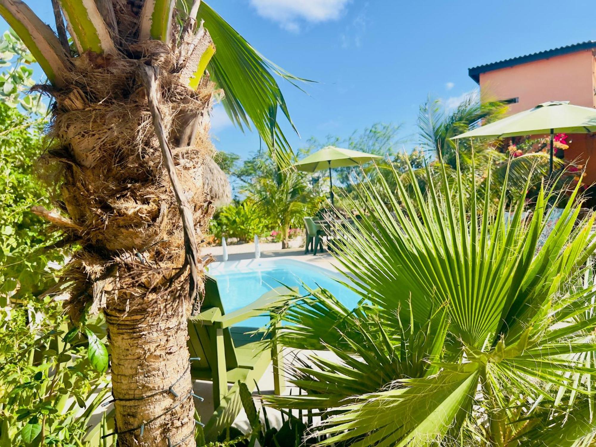 The Octopus Tropical Oasis Dorp Sint Michiel Exterior foto