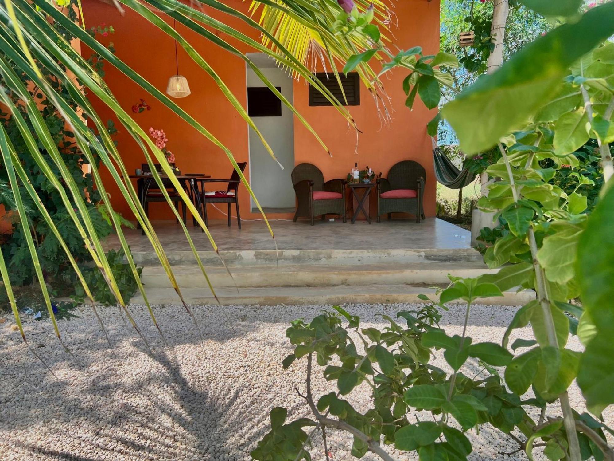 The Octopus Tropical Oasis Dorp Sint Michiel Quarto foto