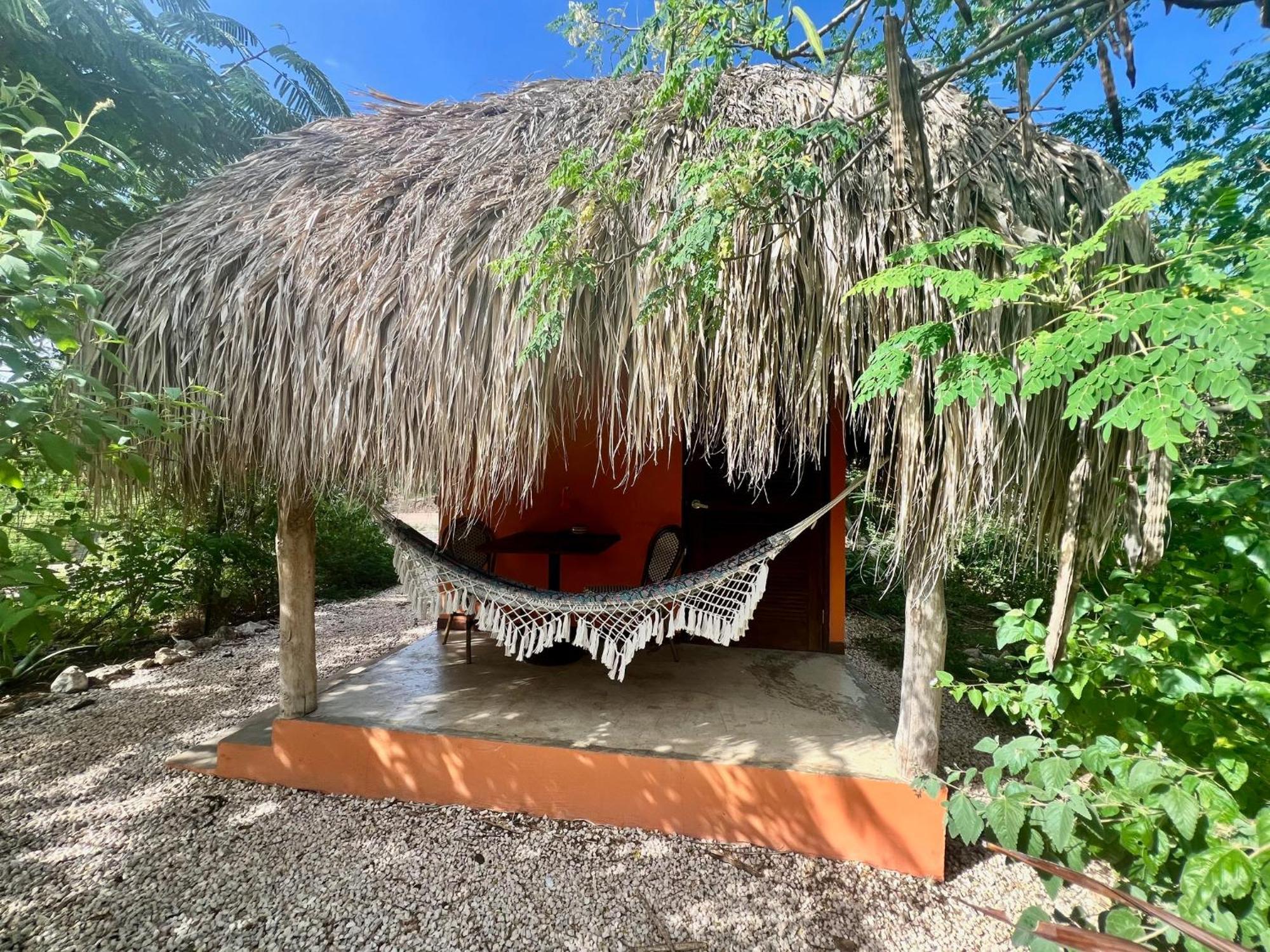 The Octopus Tropical Oasis Dorp Sint Michiel Exterior foto