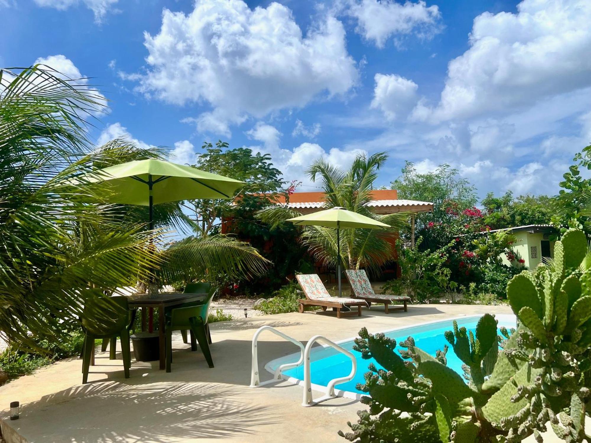 The Octopus Tropical Oasis Dorp Sint Michiel Exterior foto