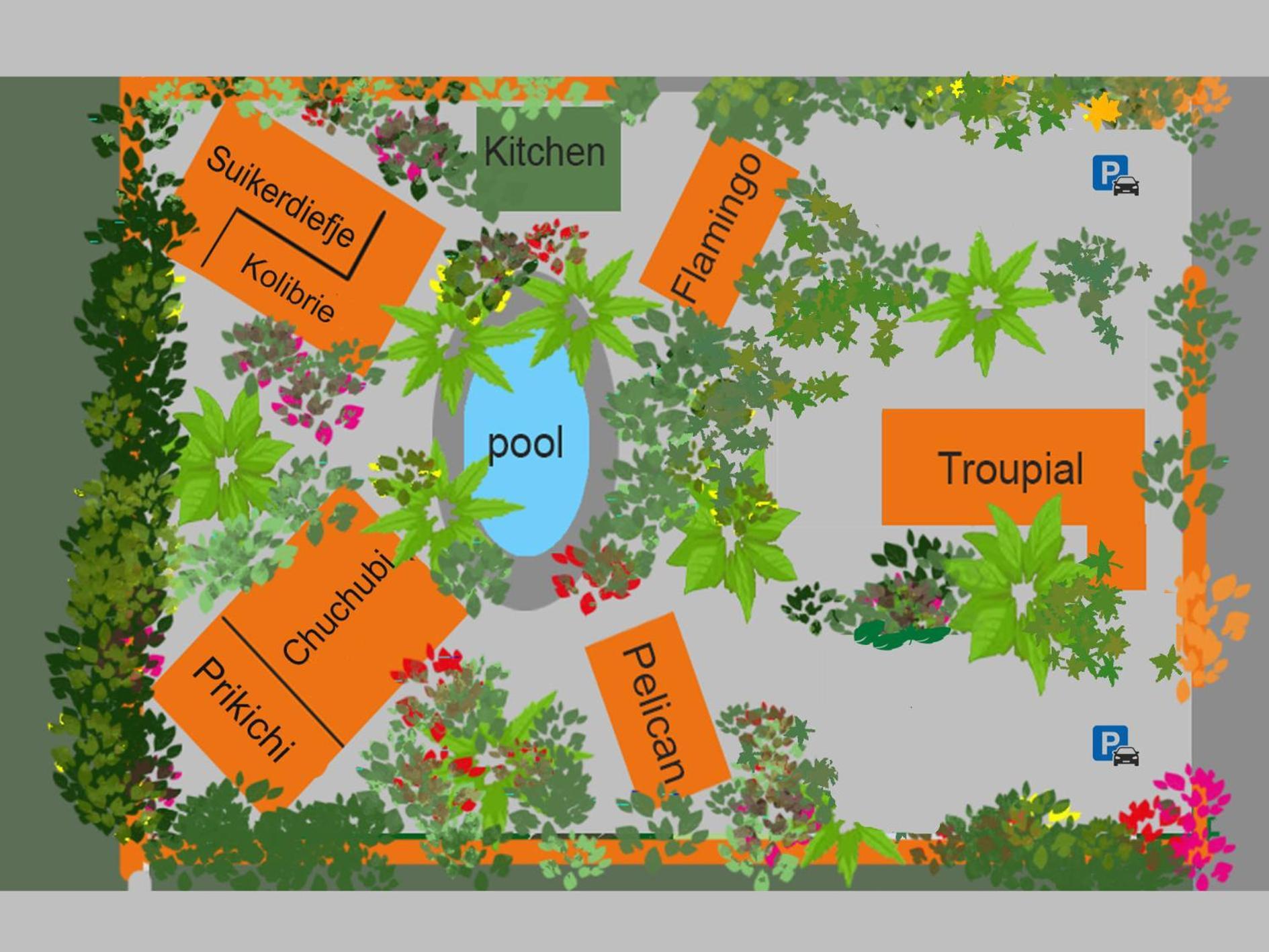 The Octopus Tropical Oasis Dorp Sint Michiel Quarto foto